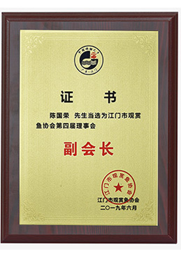 江門市觀賞魚協(xié)會(huì)副會(huì)長(zhǎng)單位